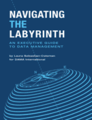 Navigating the Labyrinth – Technics Publications